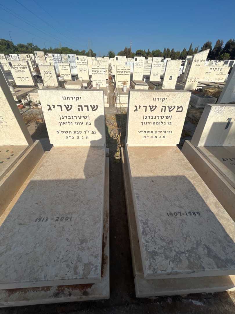 קברו של שרה "שטרנברג" שריג. תמונה 1