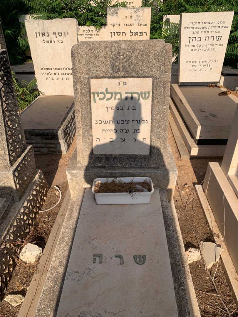 קברו של שרה מלכין