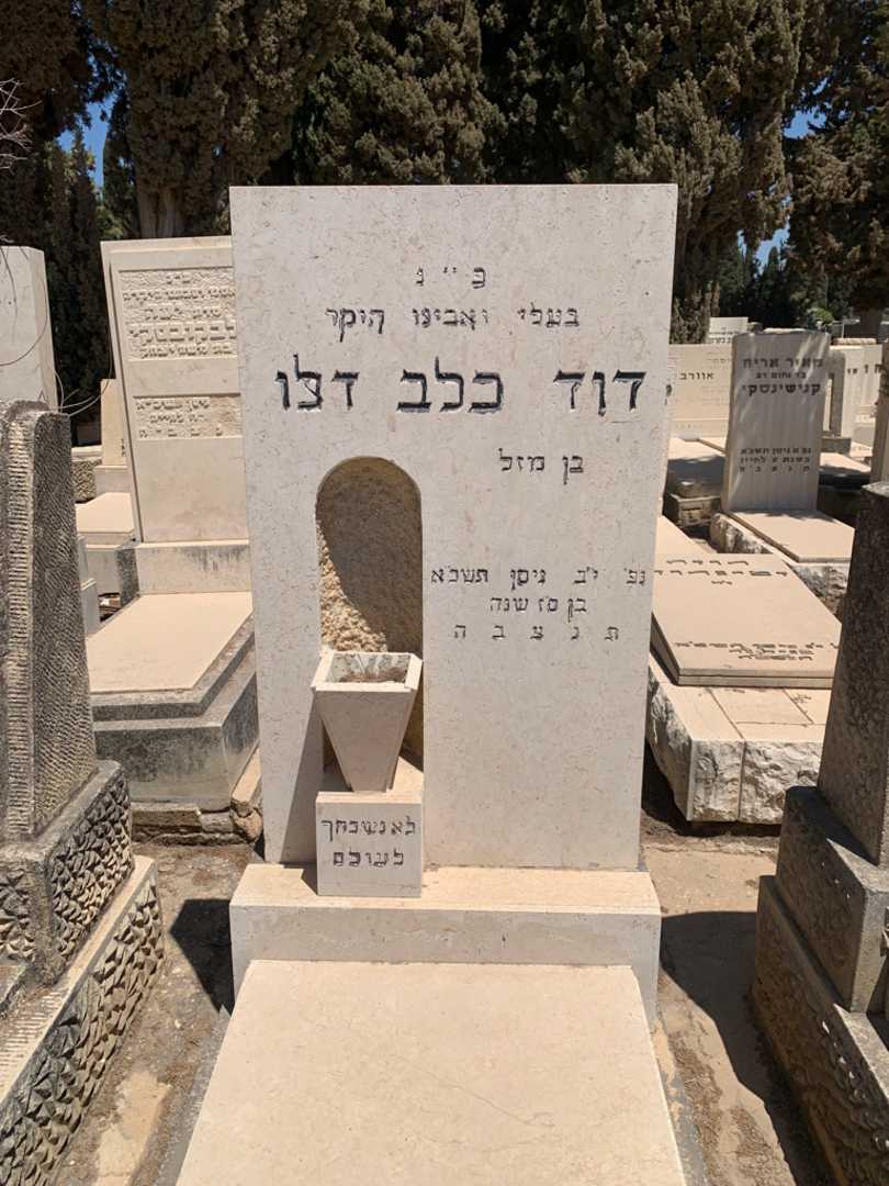 קברו של דוד כלב דלו
