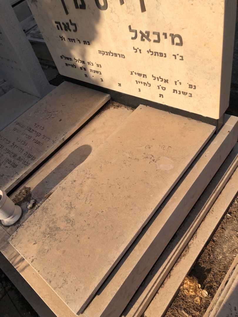 קברו של מיכאל ויסמן. תמונה 2