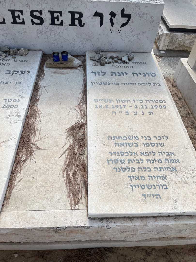 קברו של טוניה יונה לזר. תמונה 2