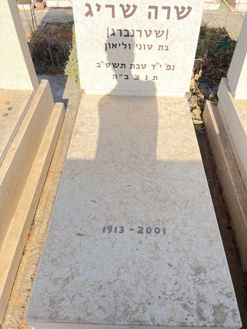 קברו של שרה "שטרנברג" שריג. תמונה 2