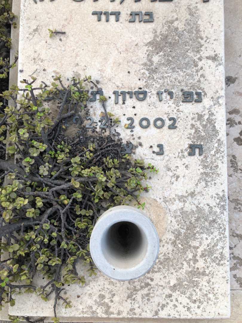 קברו של דינה "דוסיה" סטניסלבסקי. תמונה 2