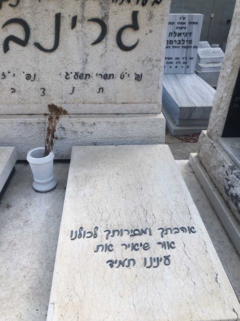קברו של מכון ויצמן. תמונה 2