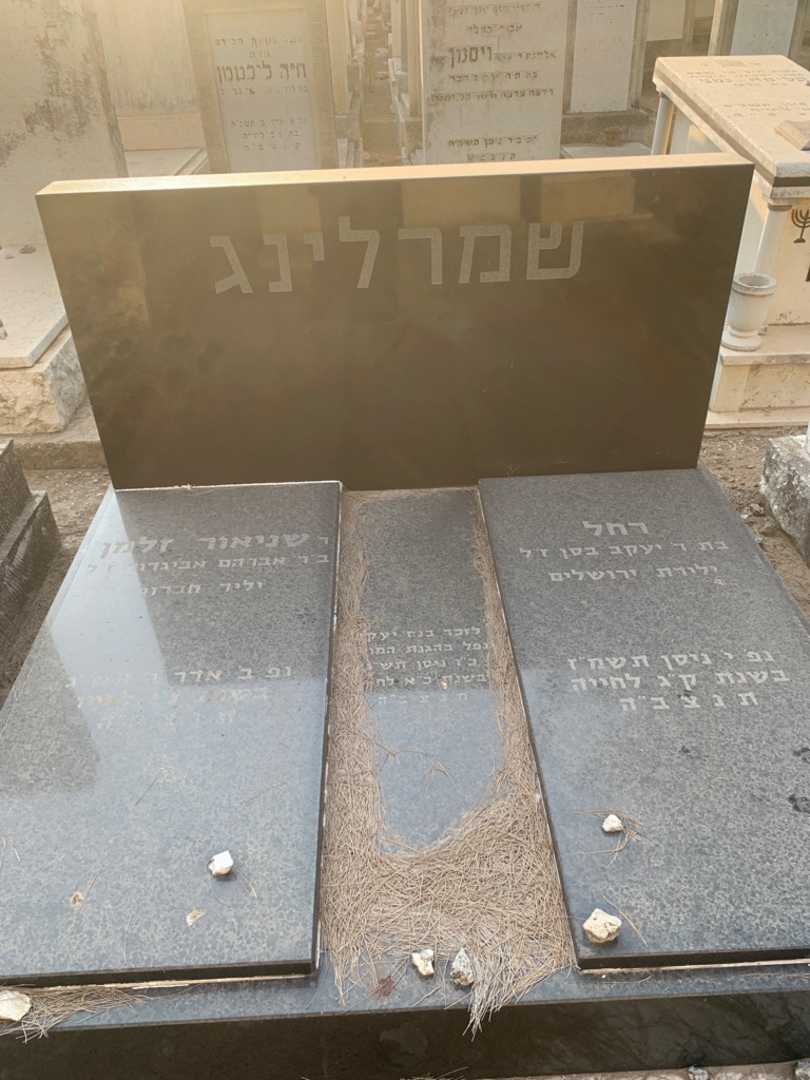קברו של שניאור שמרלינג זלמן. תמונה 2