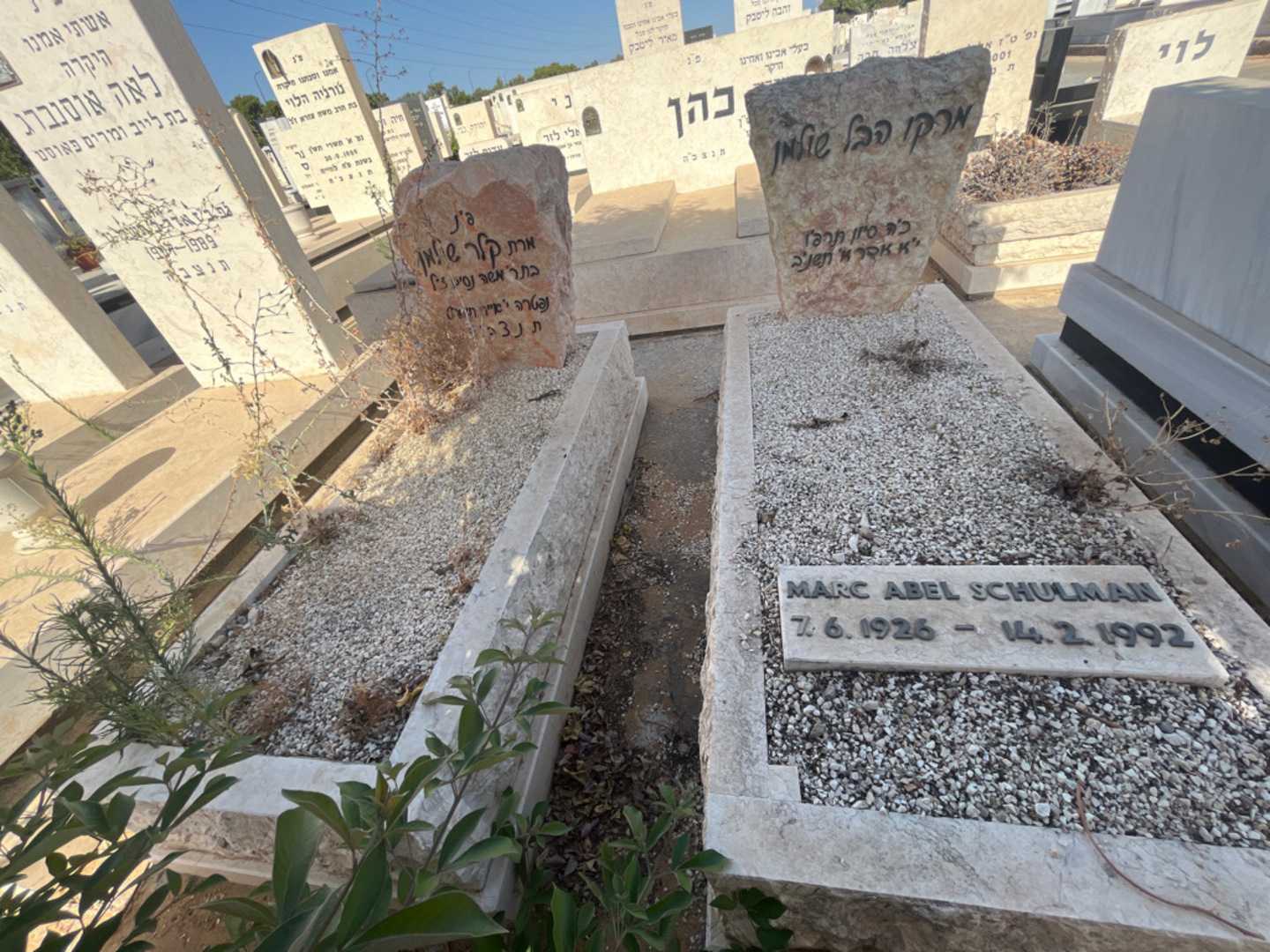 קברו של מרקו הבל "MARK ABEL SCHULMAN" שולמן. תמונה 2