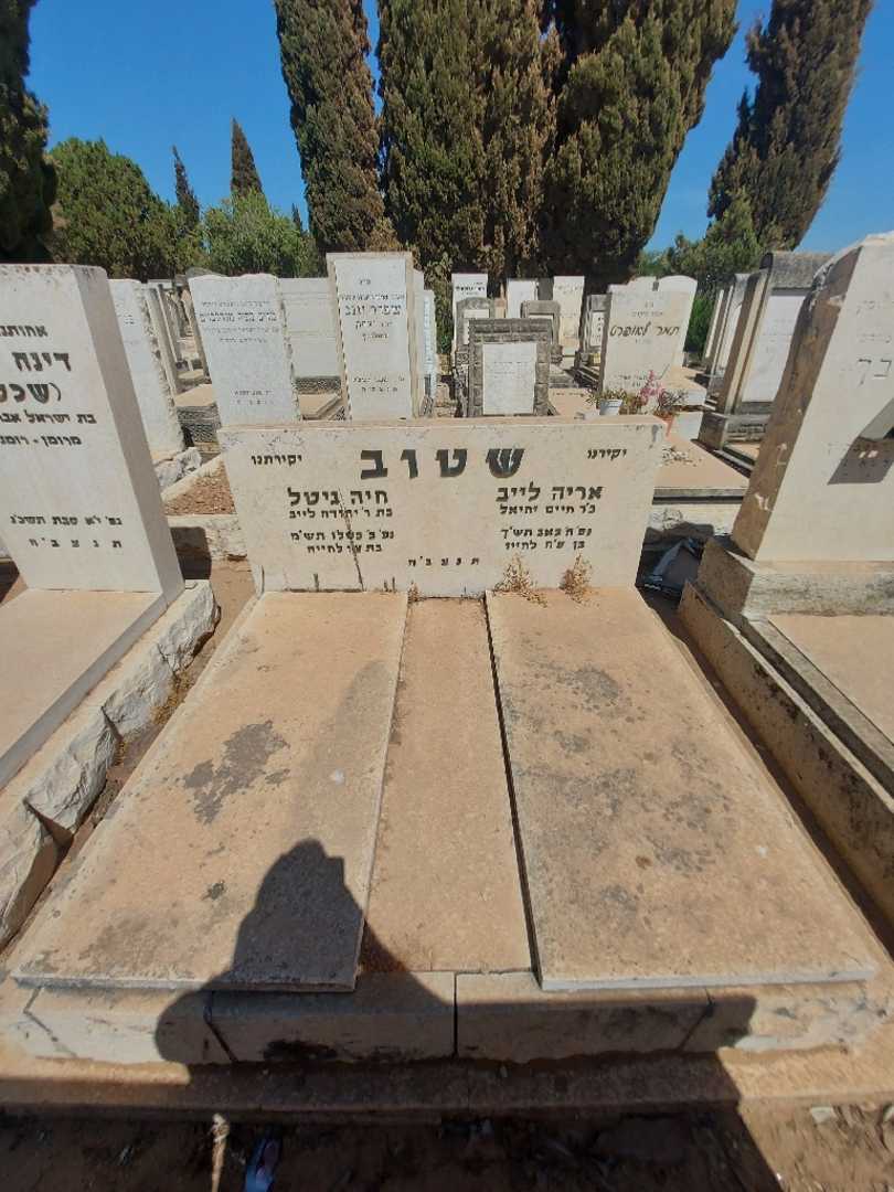 קברו של חיה גיטל שטוב. תמונה 1
