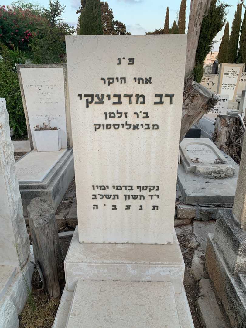 קברו של דב מדביצקי