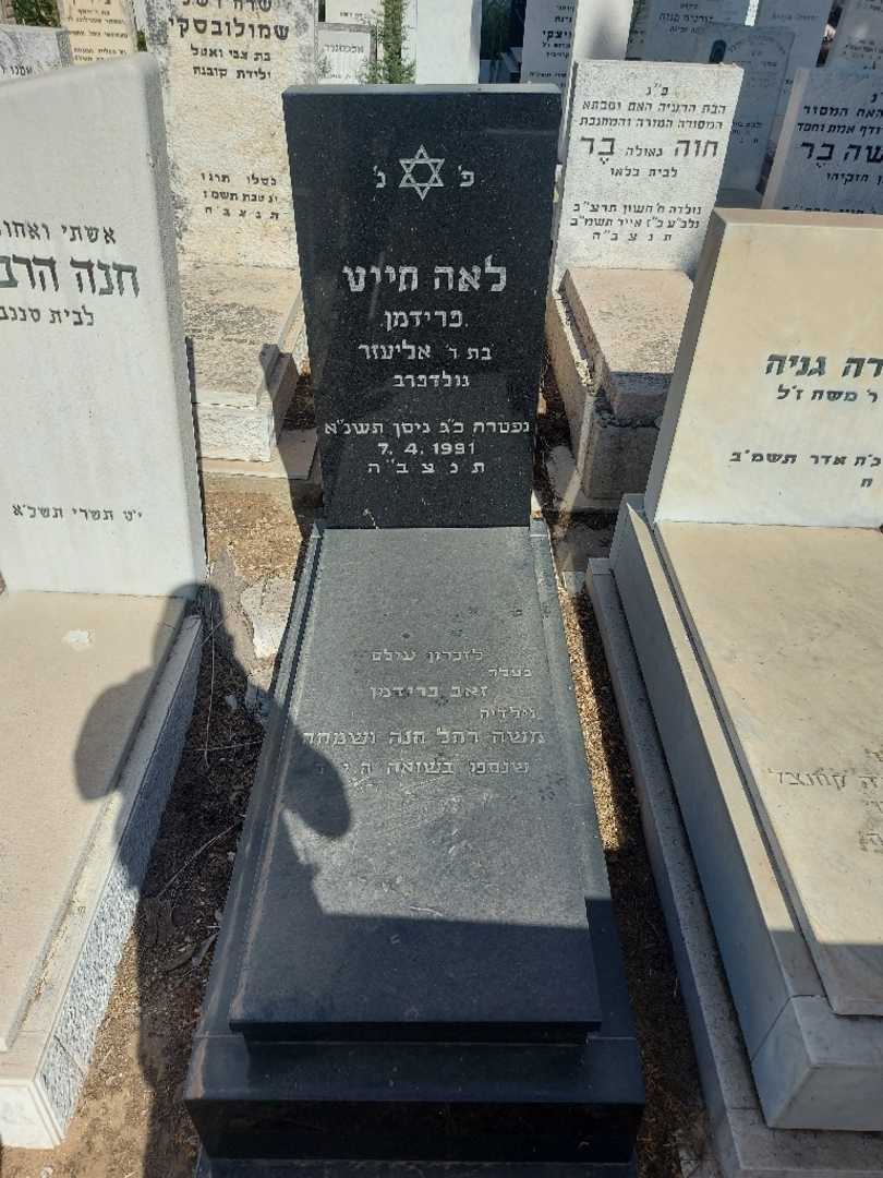 קברו של זאב פרידמן