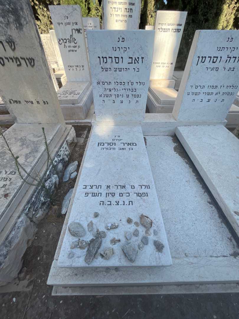 קברו של מאיר וסרמן. תמונה 1