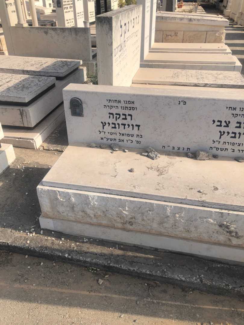 קברו של רבקה דוידוביץ. תמונה 2