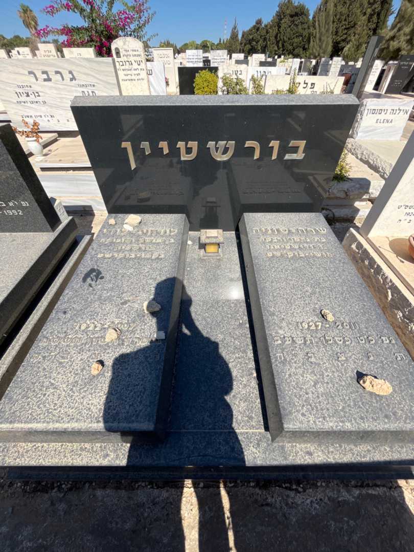 קברו של לודוויג-לודי בורשטיין. תמונה 2