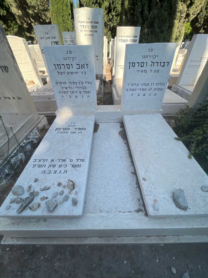 קברו של מאיר וסרמן. תמונה 2