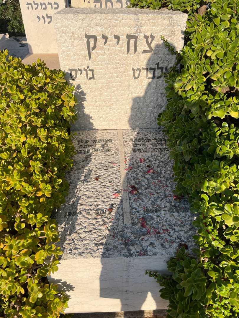 קברו של אלברט צחייק. תמונה 1