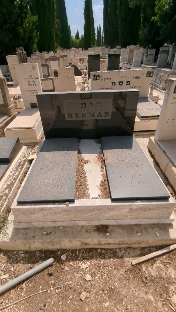 קברו של אשר הרמן. תמונה 1