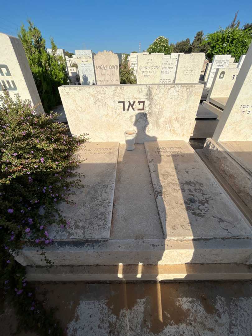 קברו של חיים פאר (פקטורוביץ). תמונה 2