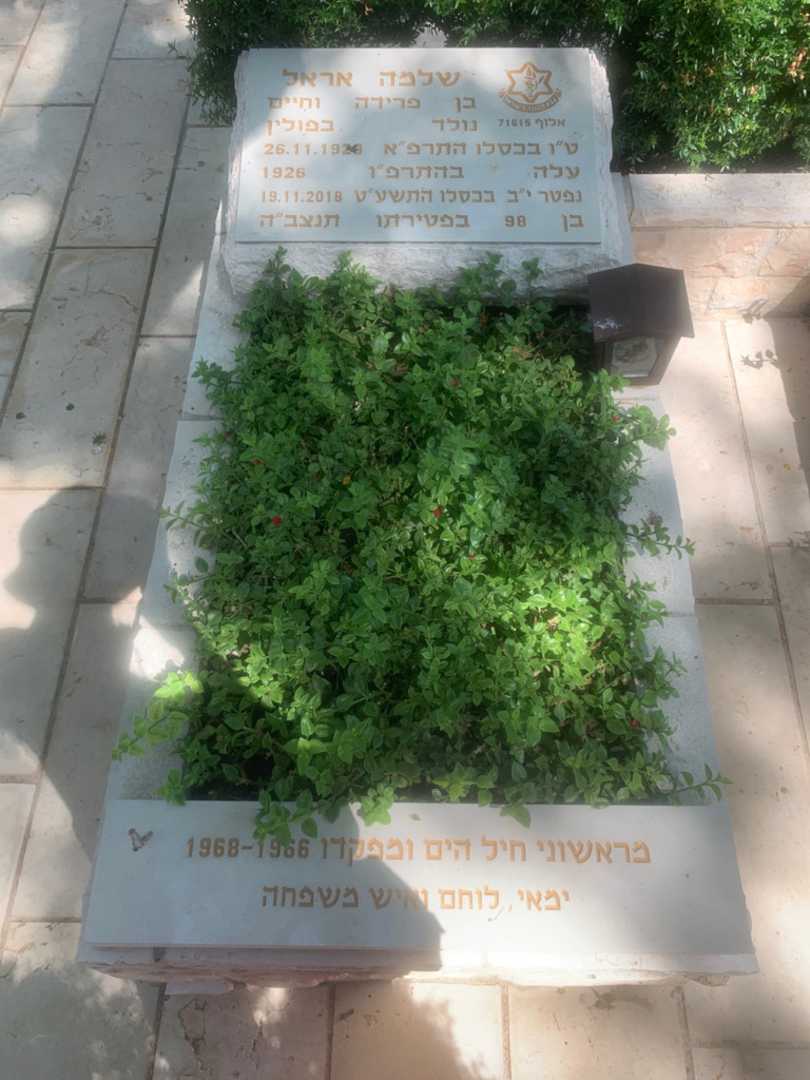 קברו של שלמה אראל