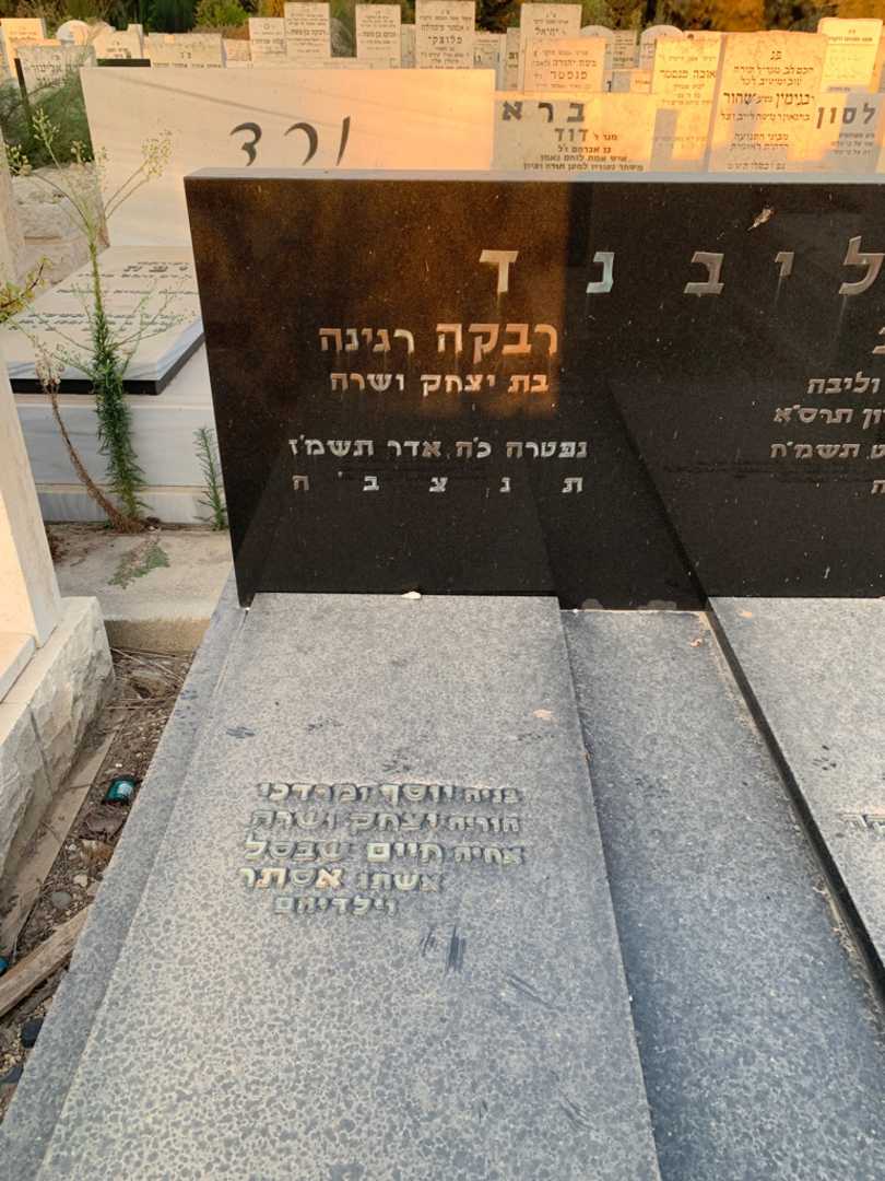 קברו של חיים שבסל. תמונה 2