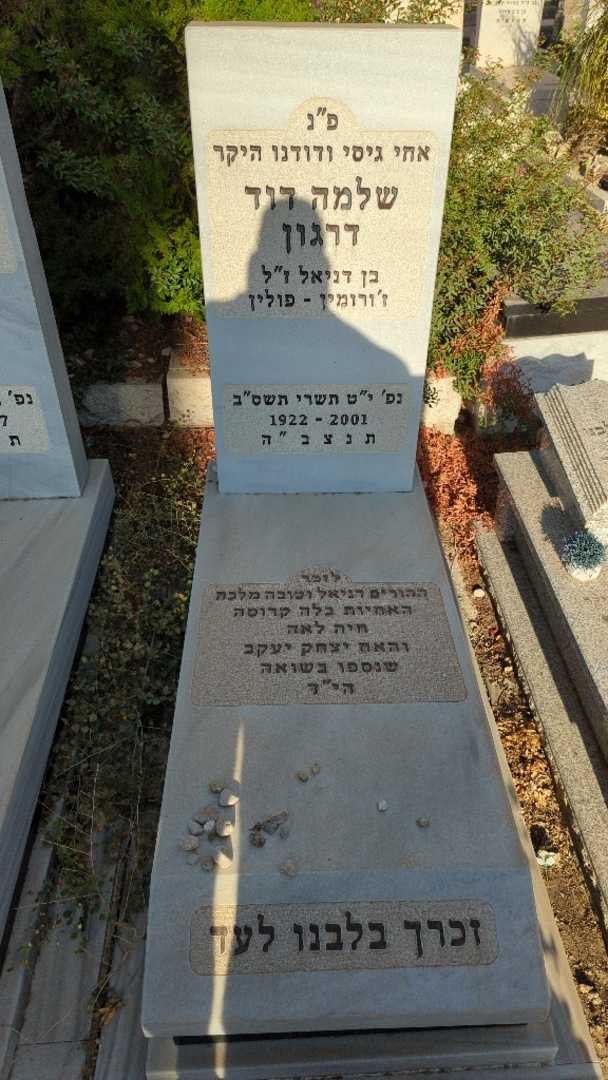 קברו של שלמה דוד דרגון