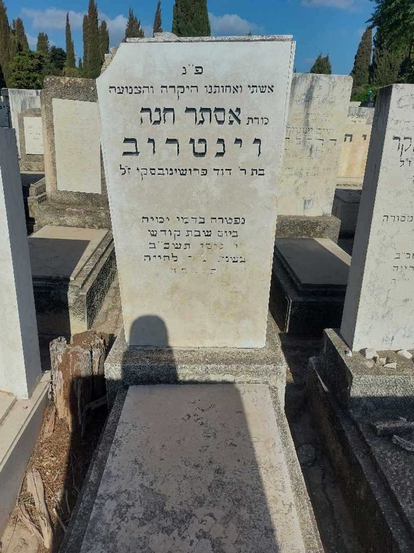 קברו של אסתר חנה וינטרוב