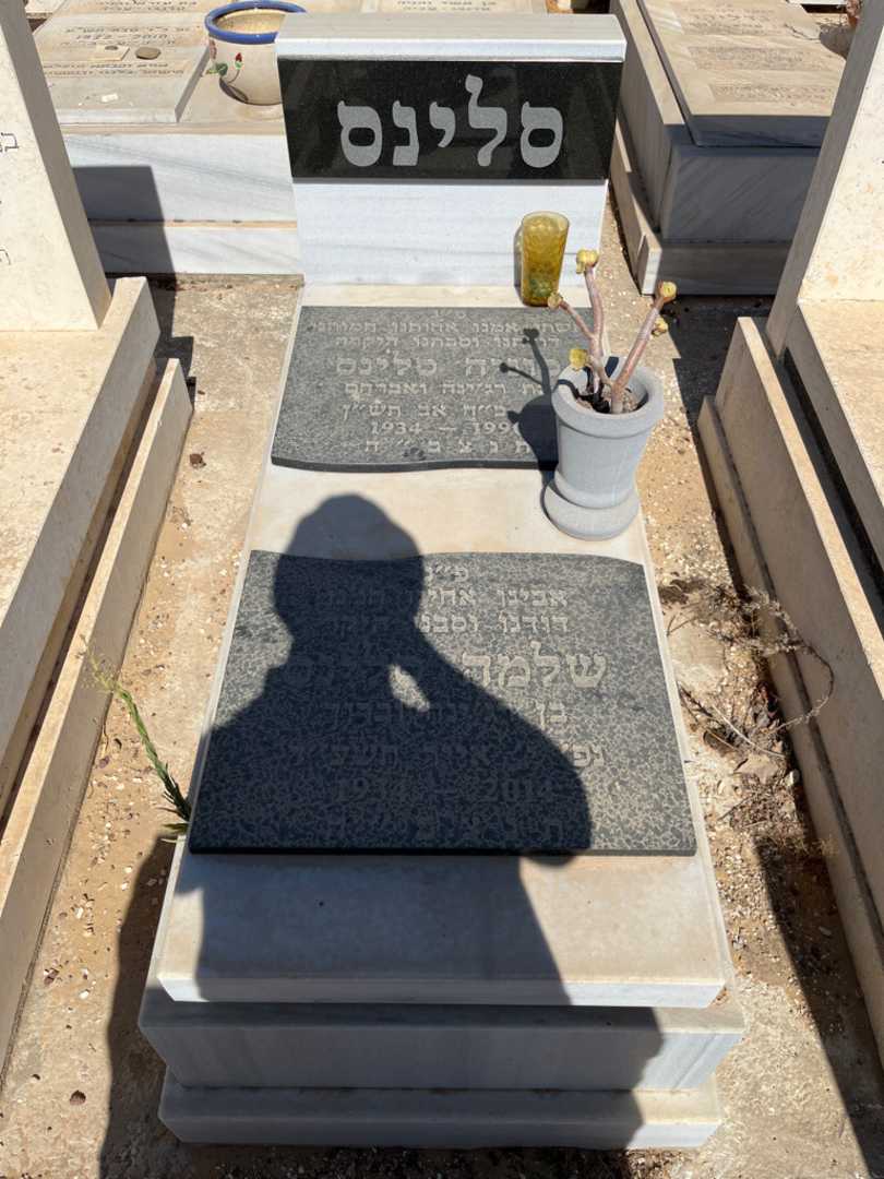 קברו של סוניה סלינס