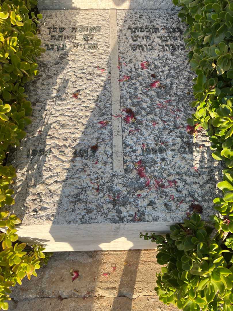 קברו של אלברט צחייק. תמונה 2