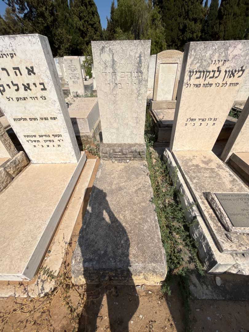 קברו של יעקב דוד וימן