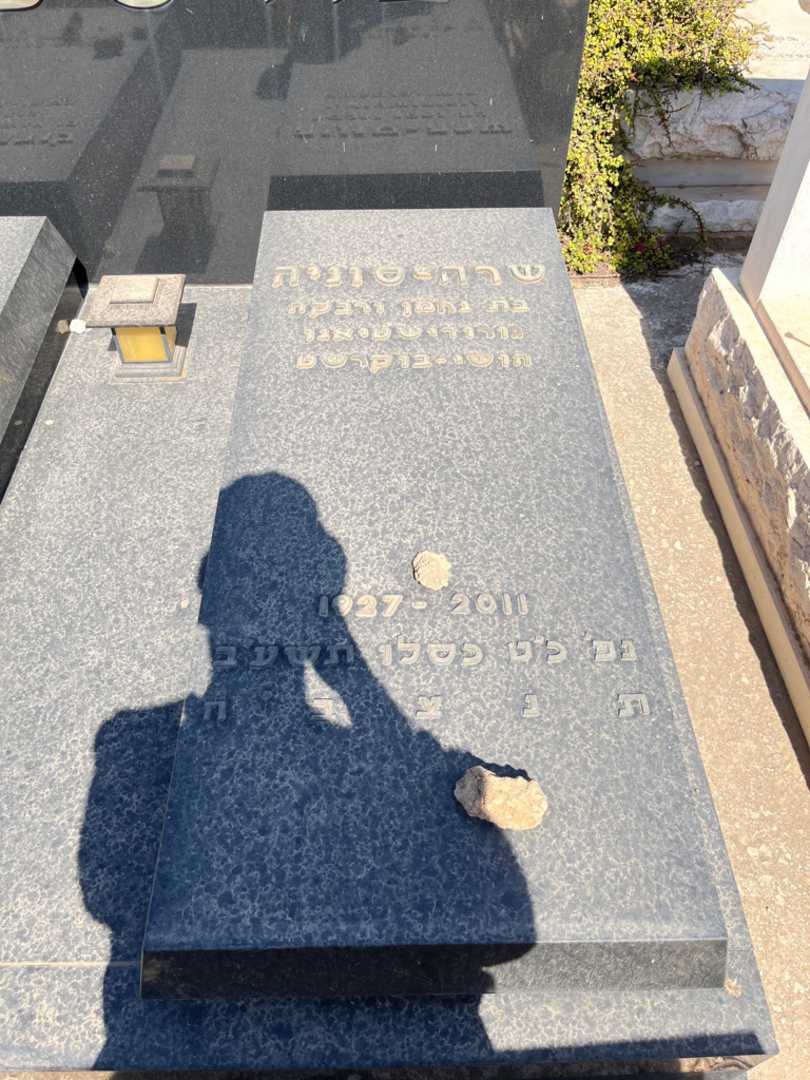 קברו של שרה-סוניה בורשטיין. תמונה 2