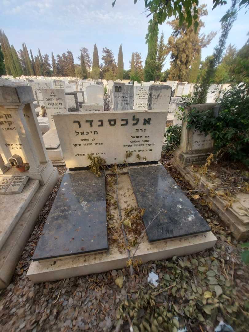 קברו של ורה אלכסנדר. תמונה 1
