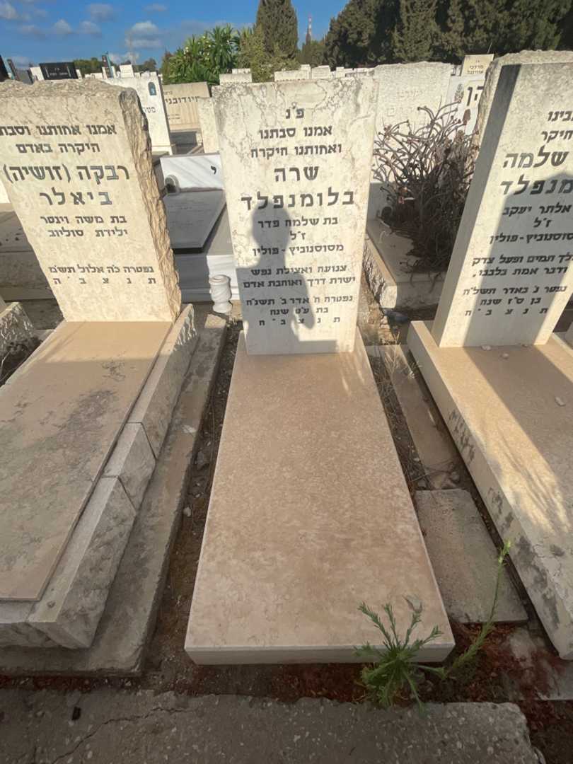 קברו של שרה בלומנפלד