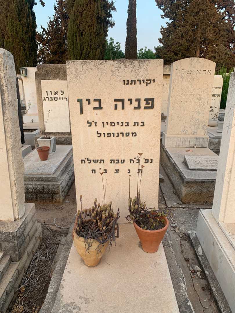 קברו של פניה בין