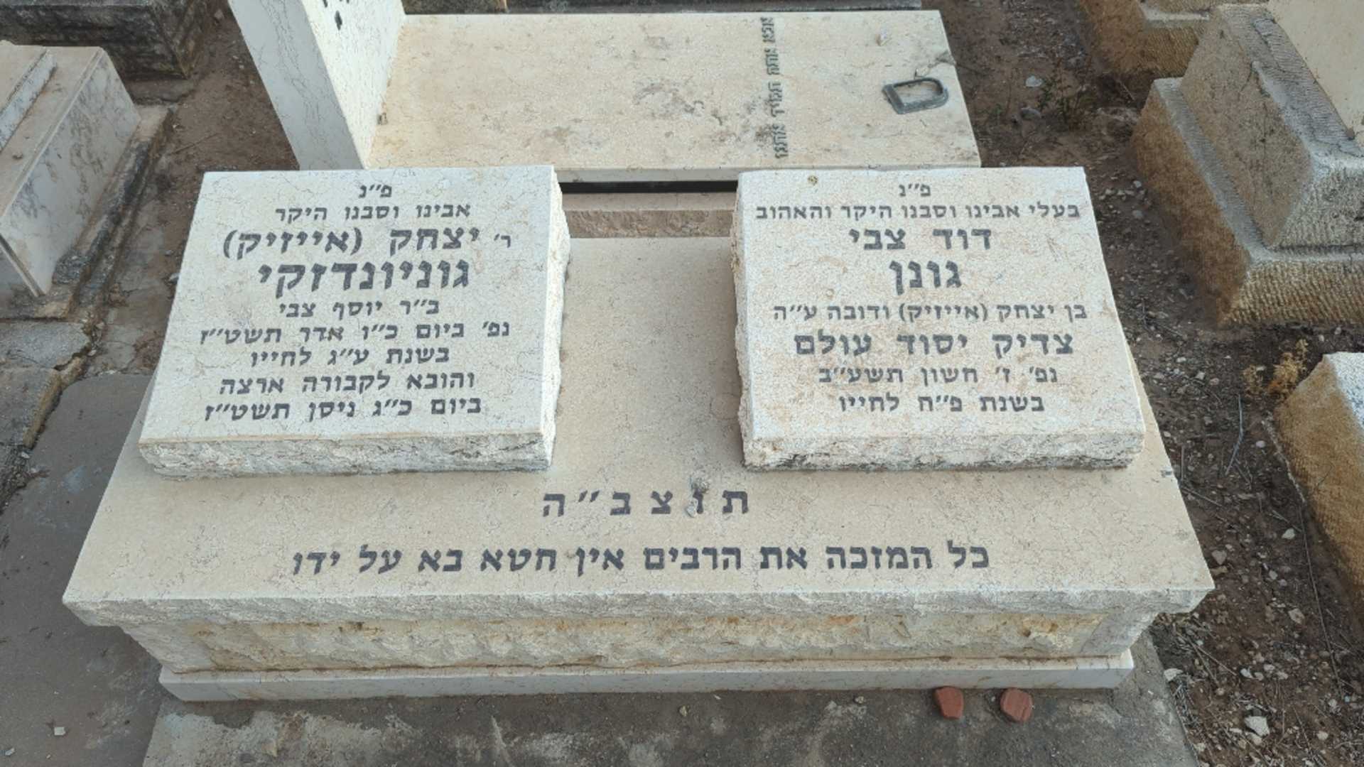 קברו של דוד צבי גונן