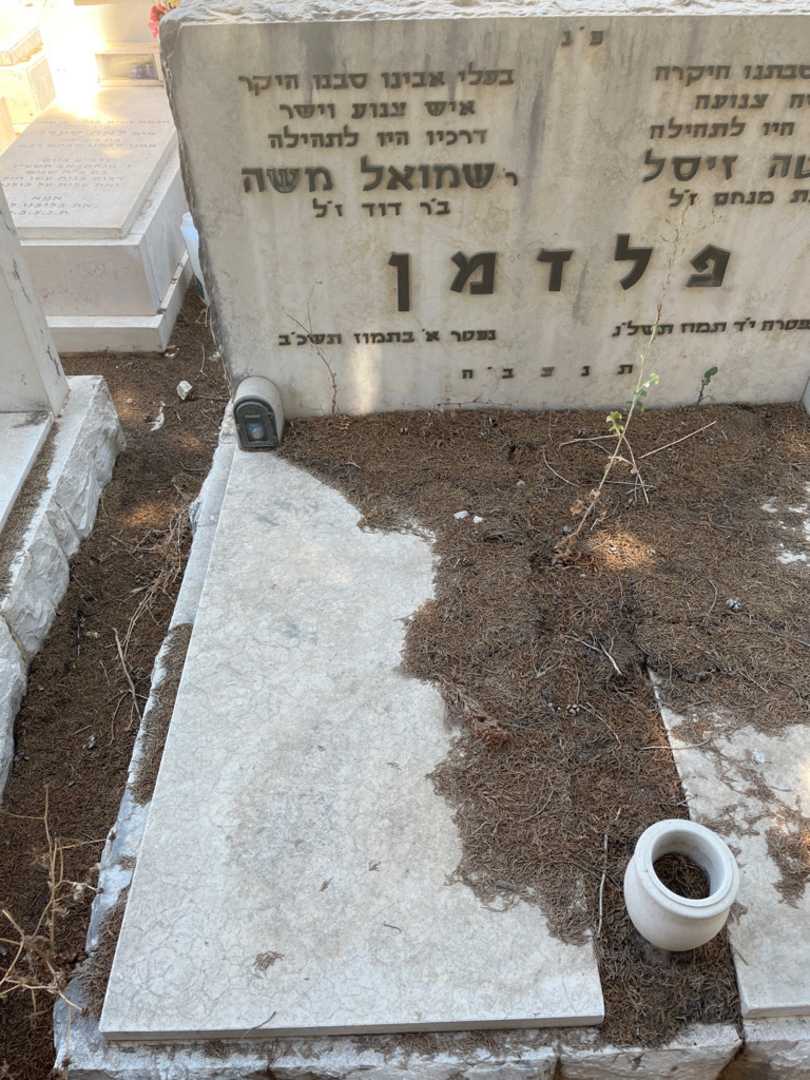 קברו של שמואל משה פלדמן. תמונה 2