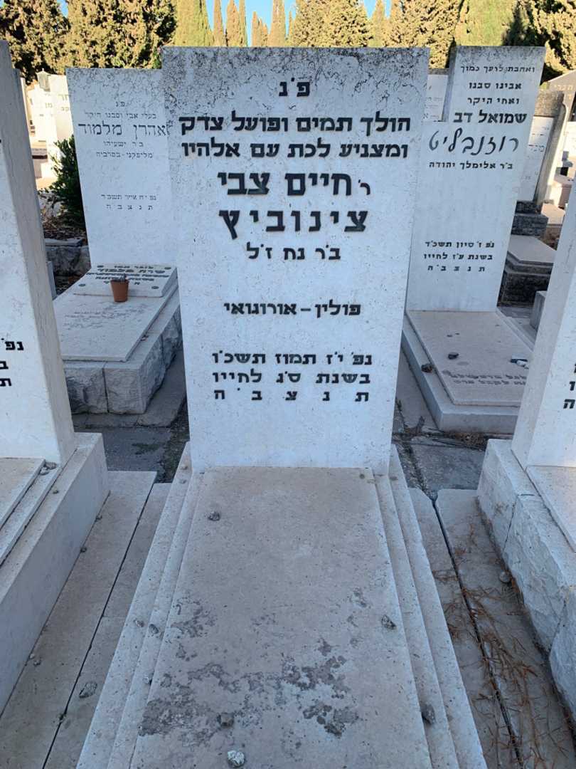 קברו של חיים צבי צינוביץ. תמונה 1