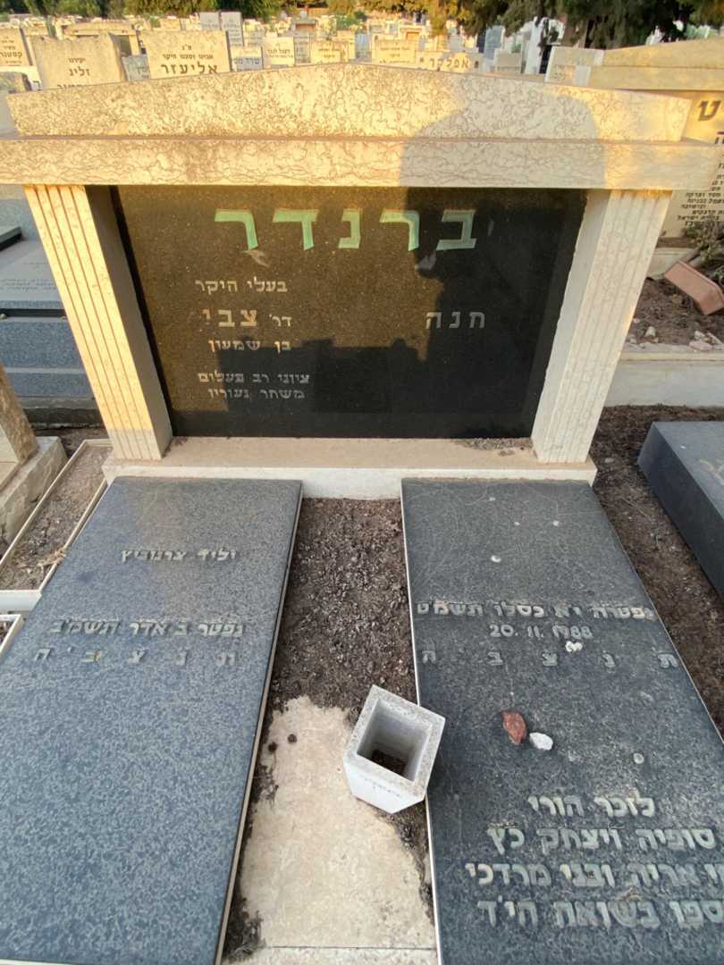 קברו של סופיה כץ. תמונה 1