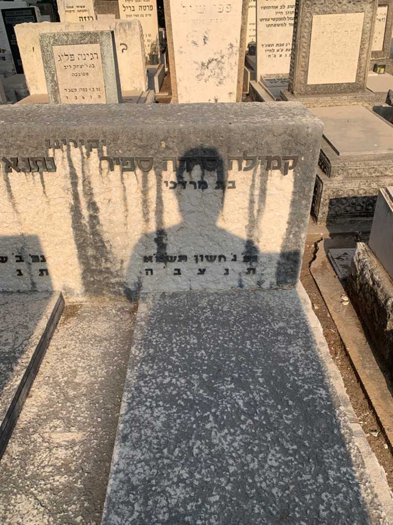 קברו של קמילה סידה ספיר. תמונה 2