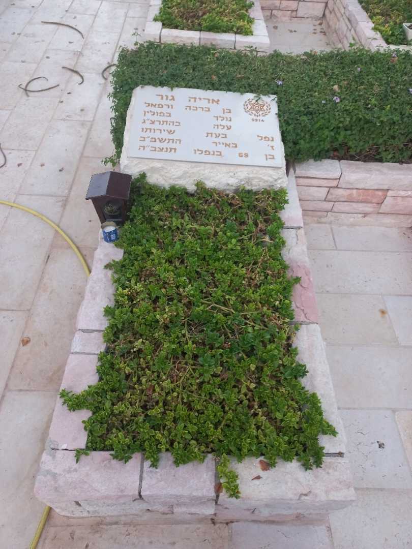 קברו של אריה גור