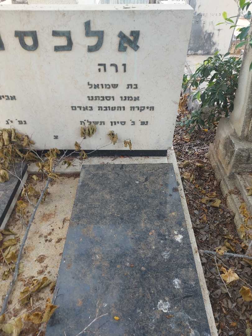 קברו של ורה אלכסנדר. תמונה 2