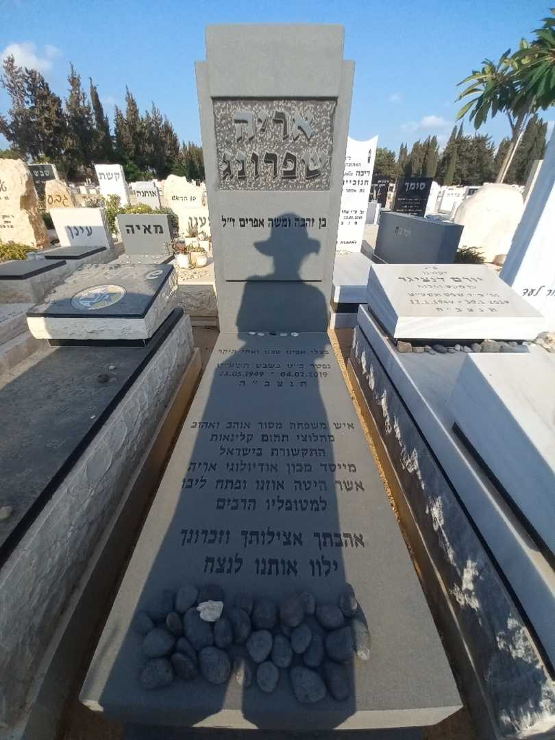 קברו של אריה שפרונג