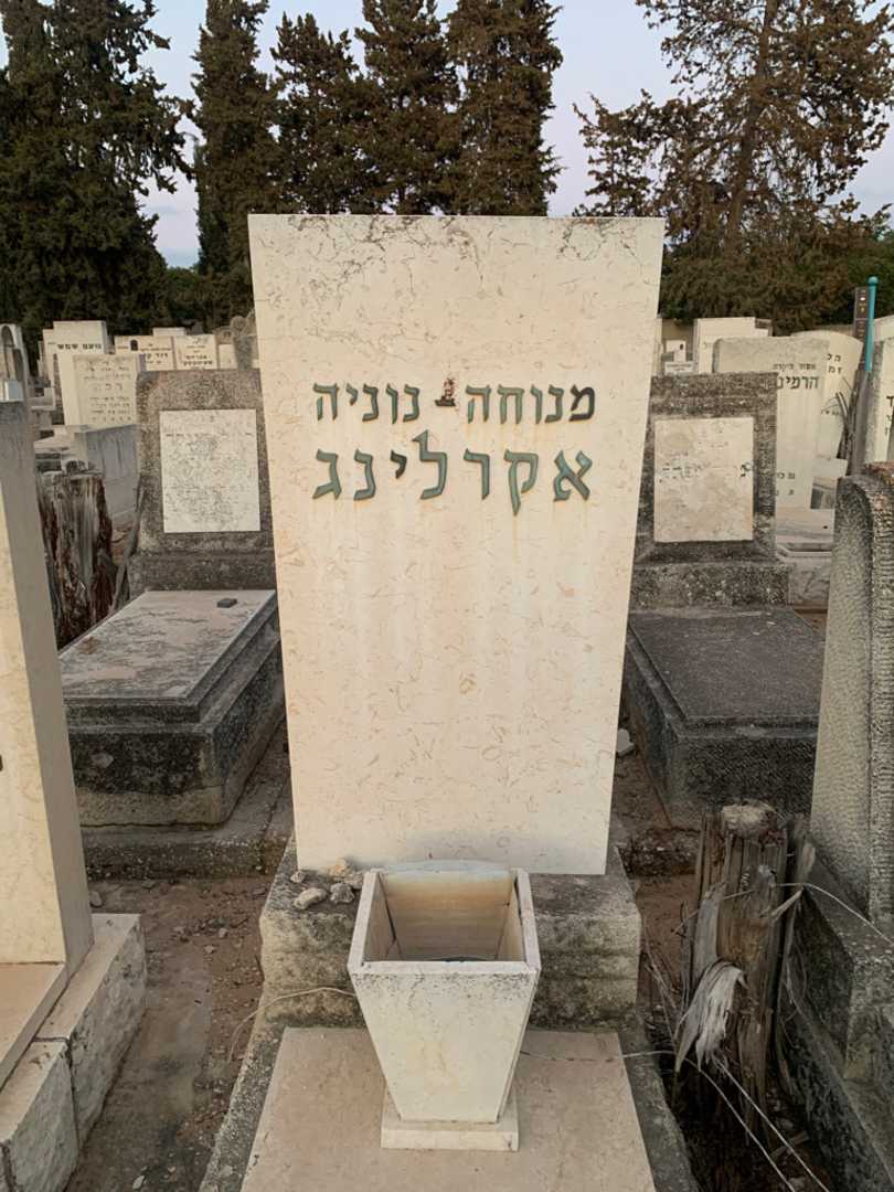 קברו של מנוחה-נוניה אקרלינג. תמונה 1