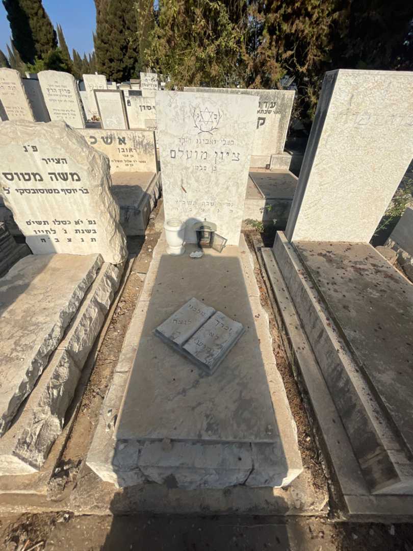 קברו של ציון מועלם