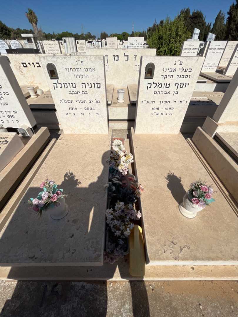 קברו של סוניה טומלק. תמונה 1
