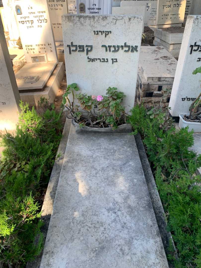 קברו של אליעזר קפלן. תמונה 1
