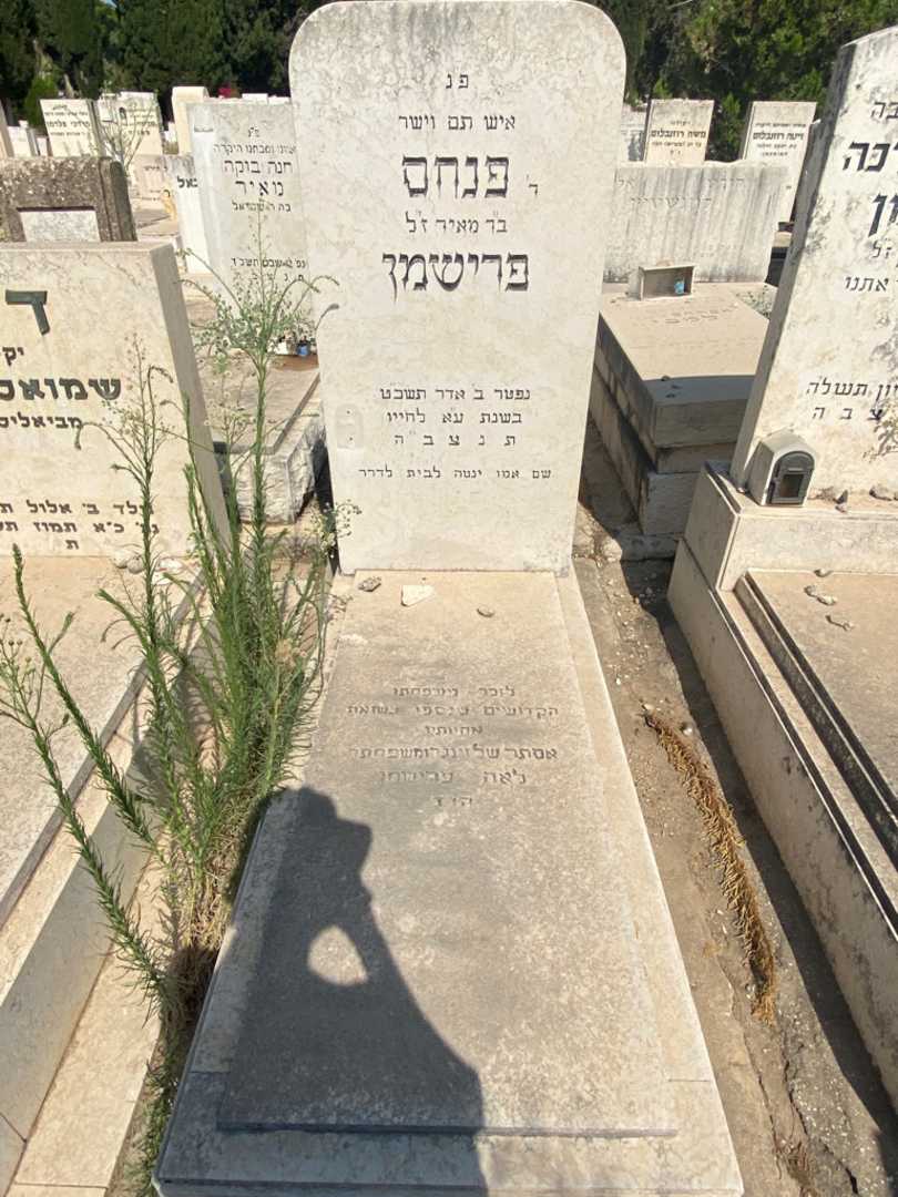 קברו של אסתר שלזינגר