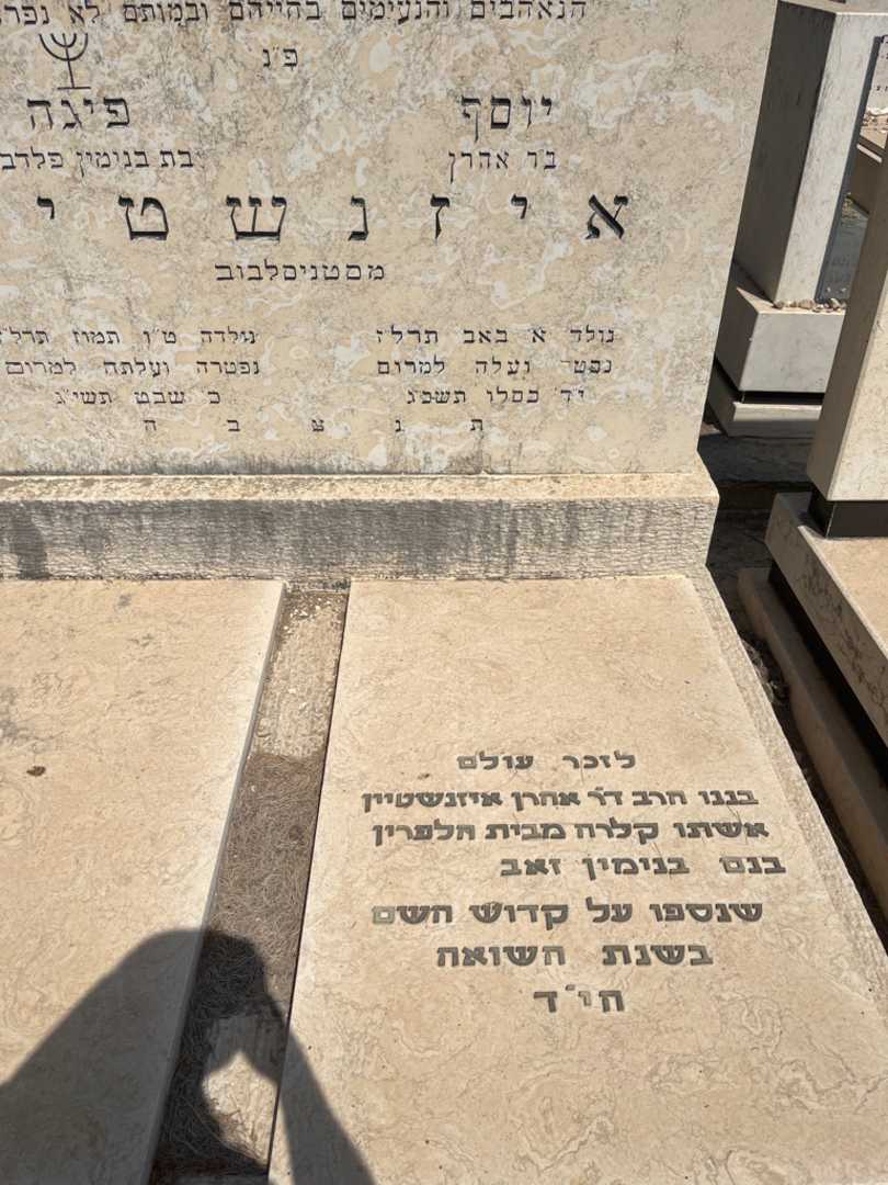 קברו של פיגה איזינשטין פלדבוי. תמונה 2