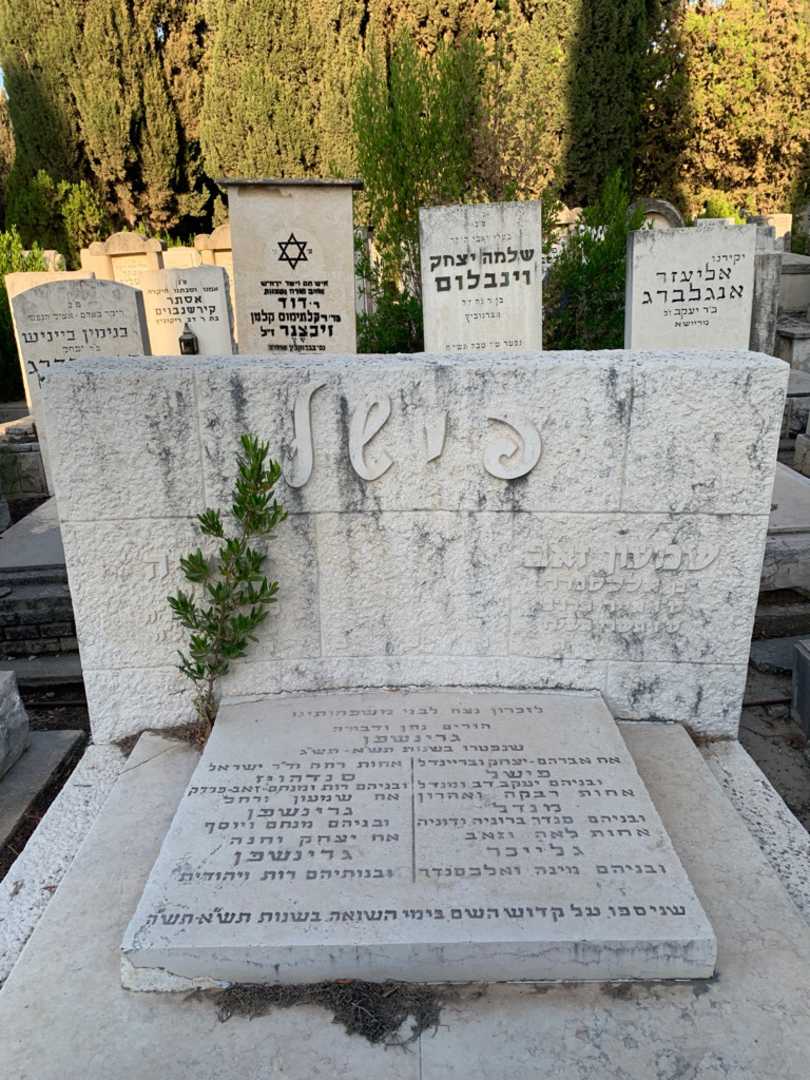 קברו של יצחק יחנה גרינשפן. תמונה 1