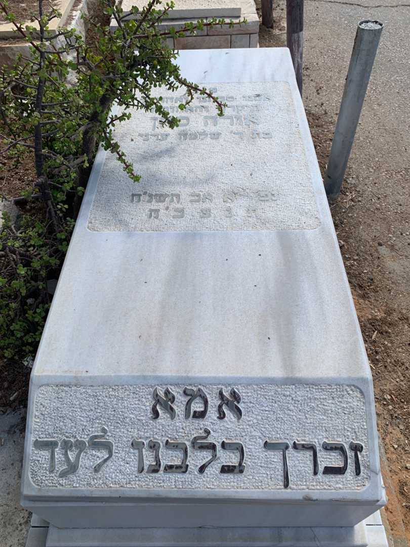 קברו של אורה כהן. תמונה 1
