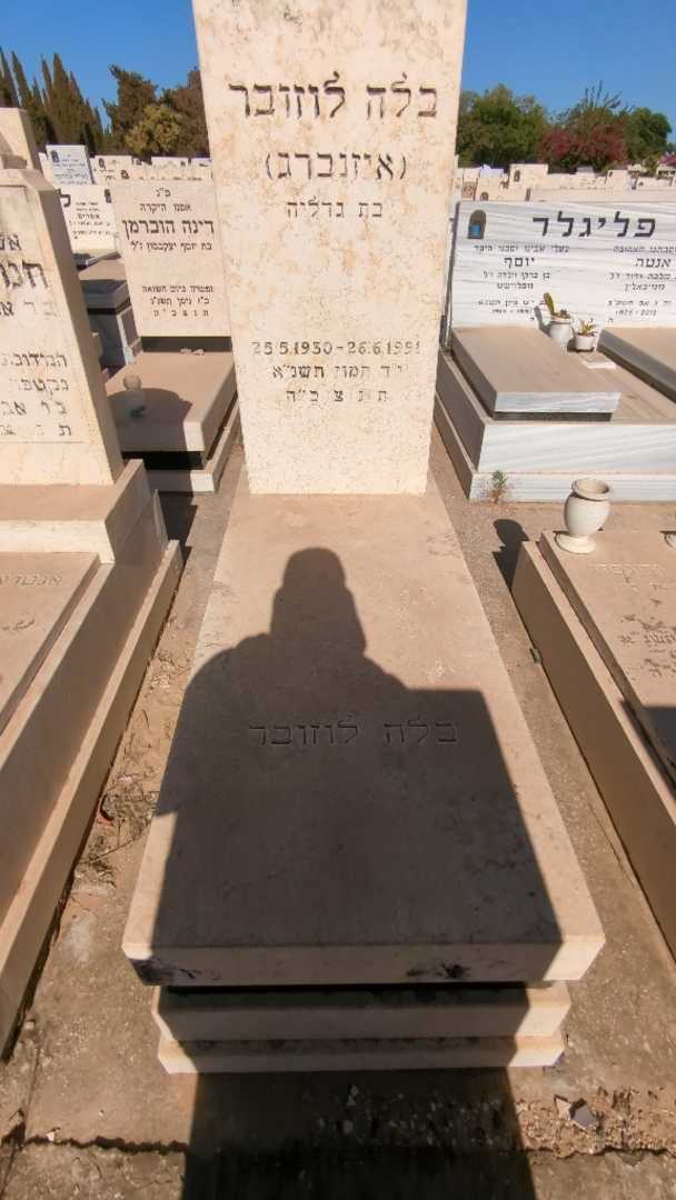 קברו של בלה "איזנברג" לוזובר