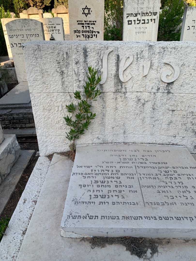 קברו של יצחק יחנה גרינשפן. תמונה 2
