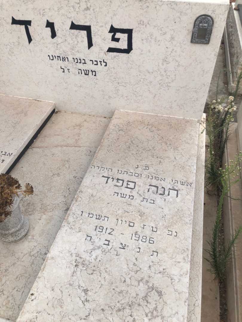 קברו של חנה פריד. תמונה 1